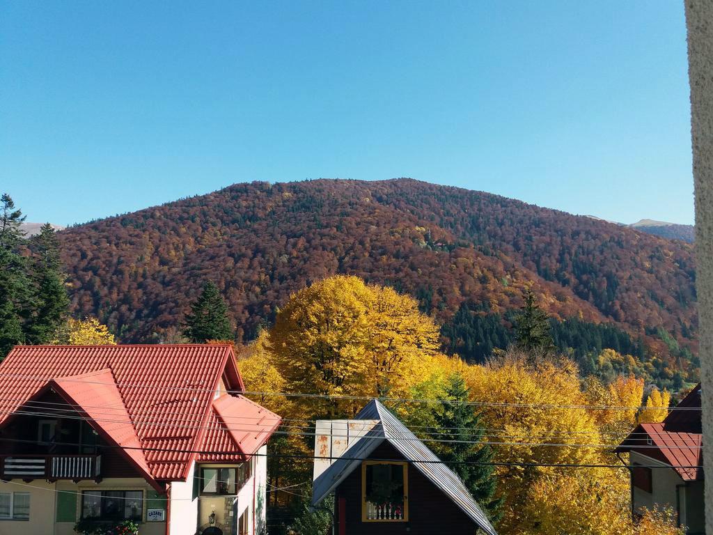 锡纳亚 加布里埃尔旅馆酒店 外观 照片